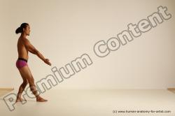 Elmer - Traditional Korean Art